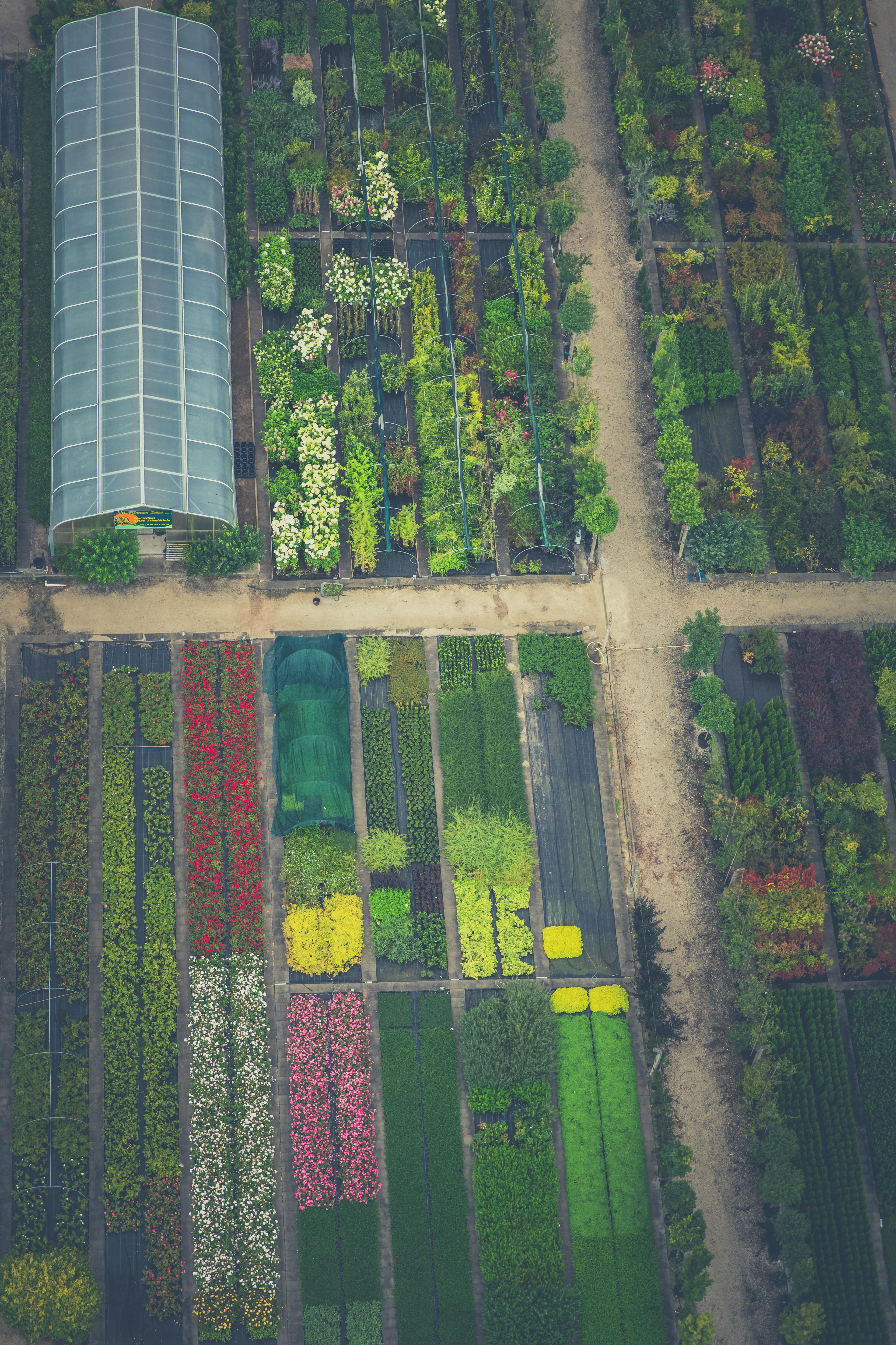 Beispiel für eine Gartenplanung